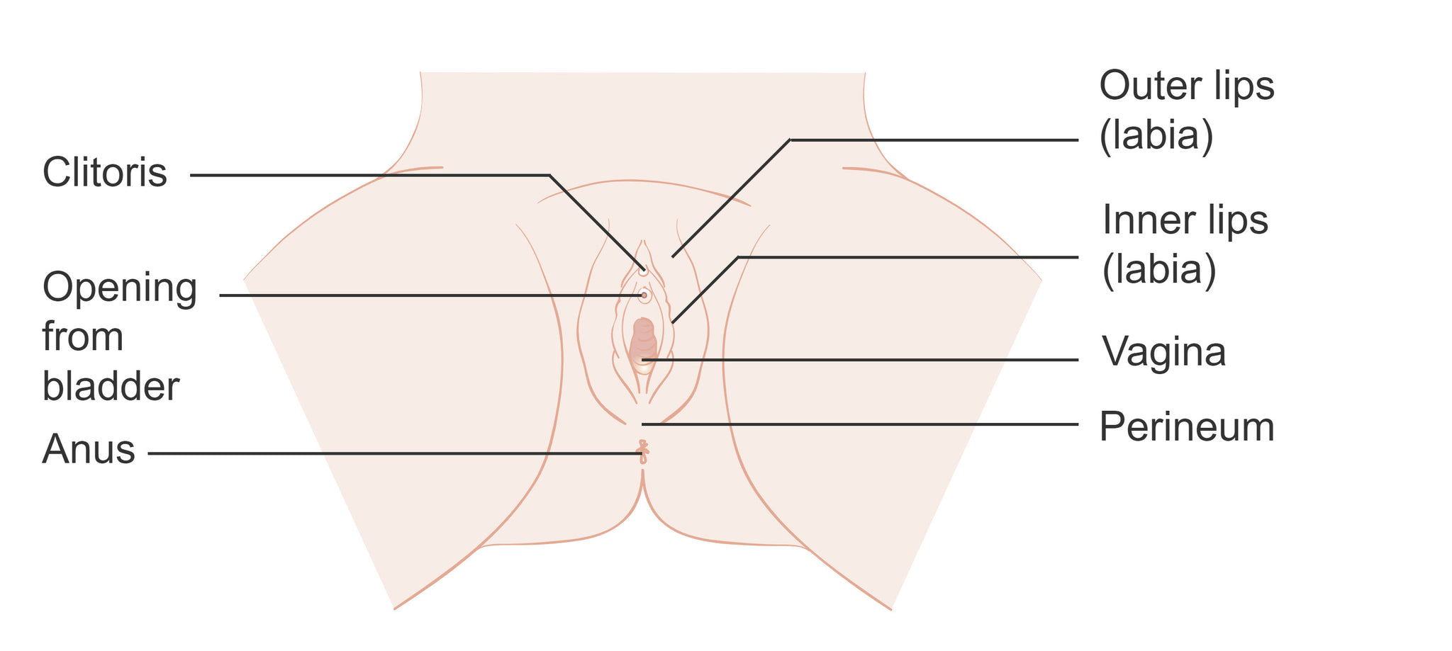 Der ultimative Leitfaden fr die Dammmassage im Jahr 2023 | Perimom Perimom Perineal Massager Der ultimative Leitfaden fr die Dammmassage im Jahr 2023 | Perimom Perimom Perineal Massager